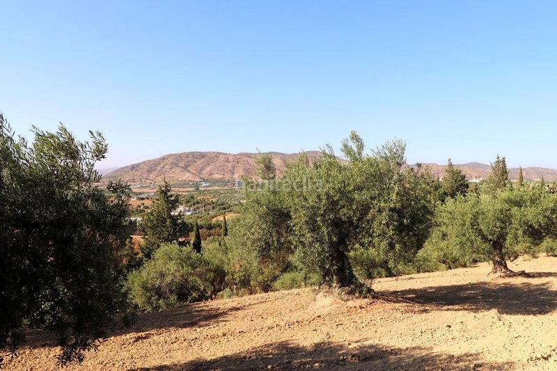 Foto dbfad03b-2bbe-4c5c-b9f0-6fdda011810a. Masia a Centro Alhaurín el Grande