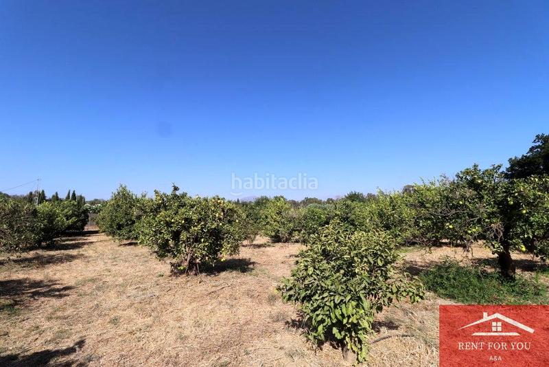 Foto 26bdb4ce-a17b-4a86-b8ae-2dffcfbd6a9c. Finca rústica a Cártama