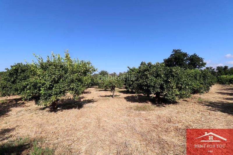 Foto 296e11e3-064f-4942-8d2d-615a279c5542. Finca rústica a Cártama