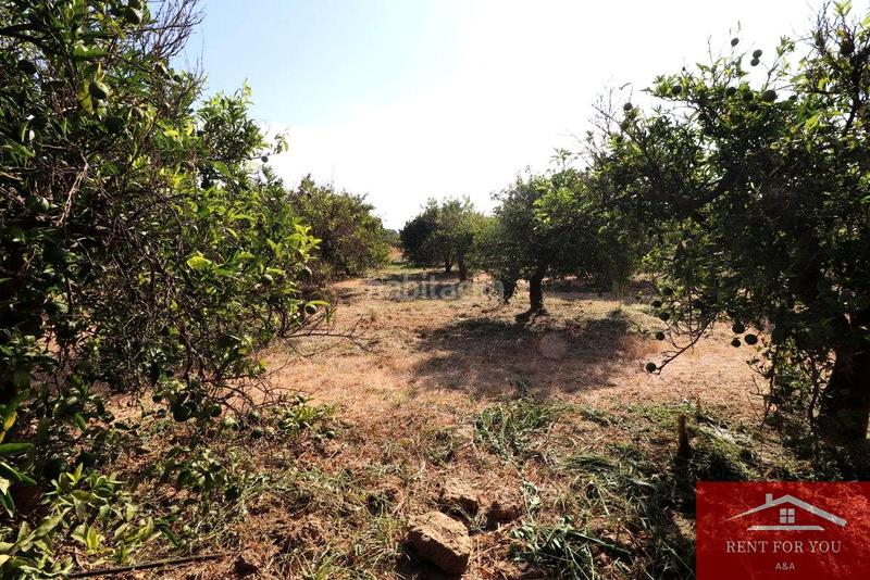 Foto 2d251664-924b-486a-975a-cebb121ed8e1. Finca rústica a Cártama