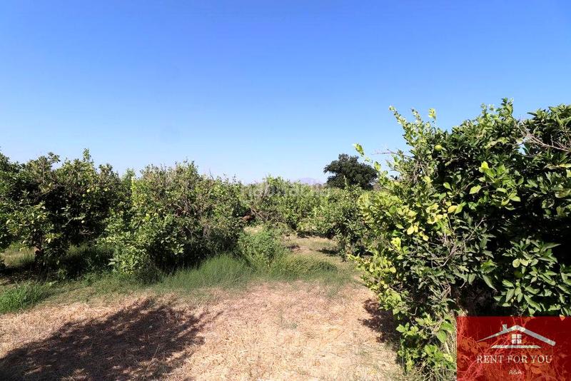 Foto 3d8597ab-2881-44b0-b83b-246667e62d2a. Finca rústica a Cártama