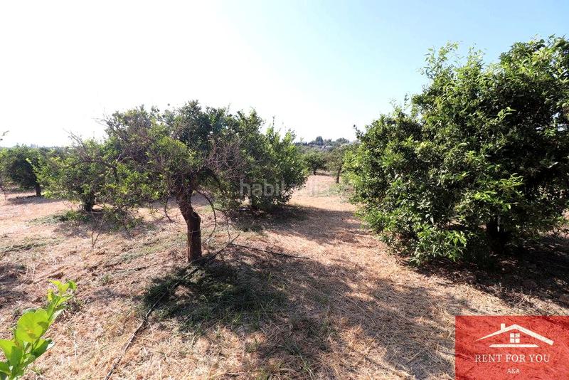 Foto 4d1c12b8-044d-4b9f-998f-b72a0663f6a4. Finca rústica a Cártama