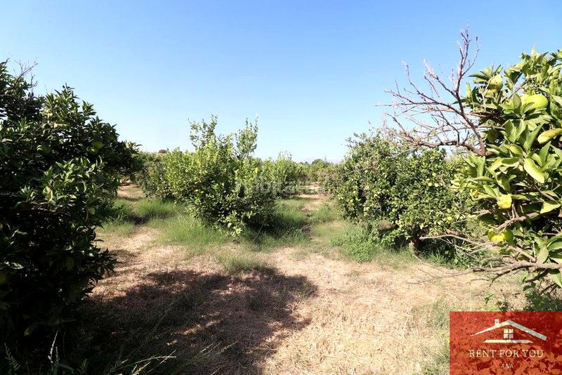 Foto 6337f7ab-8dd9-45f2-bb0c-b4e245282954. Finca rústica a Cártama