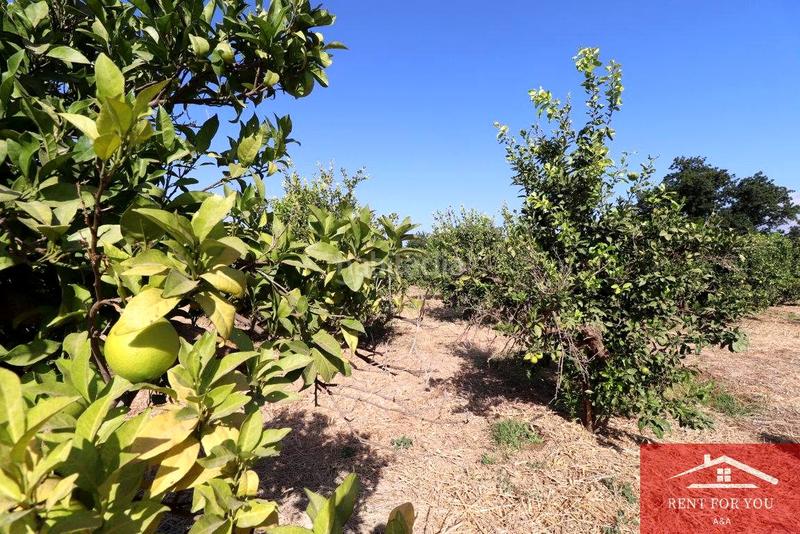 Foto 66e629ef-eed3-490d-9b01-cfb91efcf243. Finca rústica a Cártama