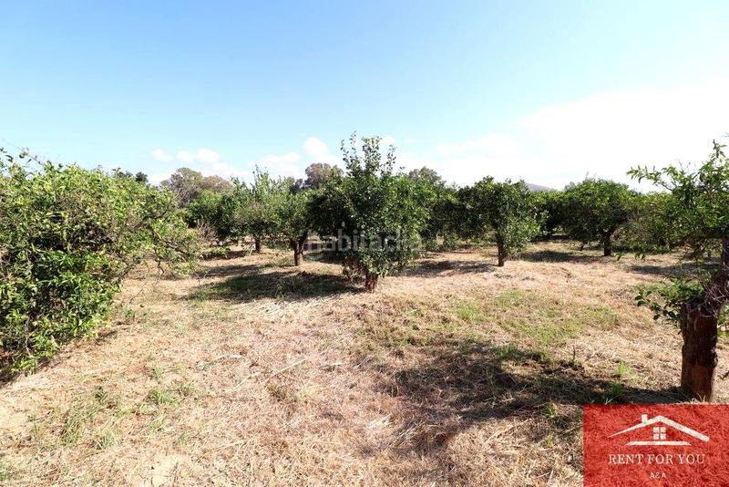 Foto 765ab481-1707-4bea-8c71-81984ae9769d. Finca rústica a Cártama