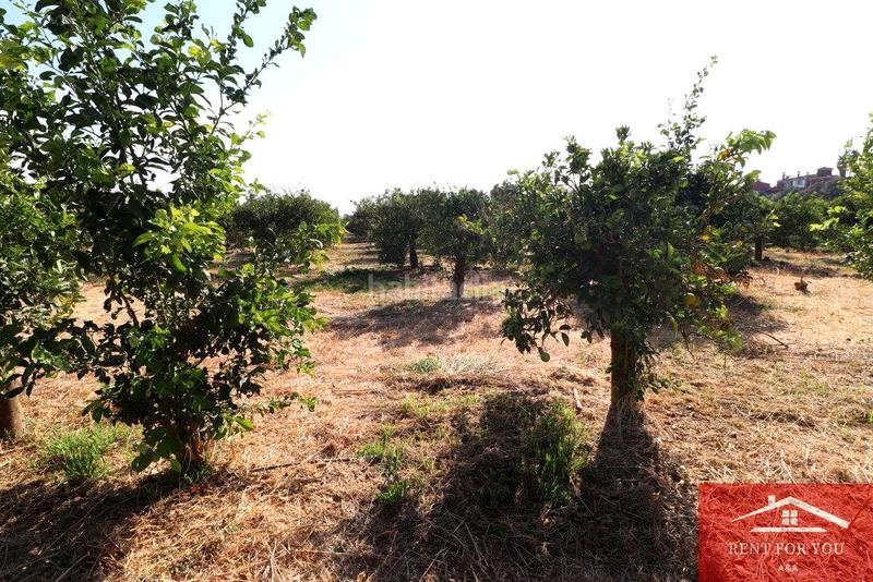 Foto 822d2e0c-52ad-4f1c-b293-3d0b79cd3e49. Finca rústica a Cártama