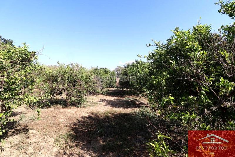 Foto 87a3bc47-57d4-4173-9e6b-f88649e40c51. Finca rústica a Cártama