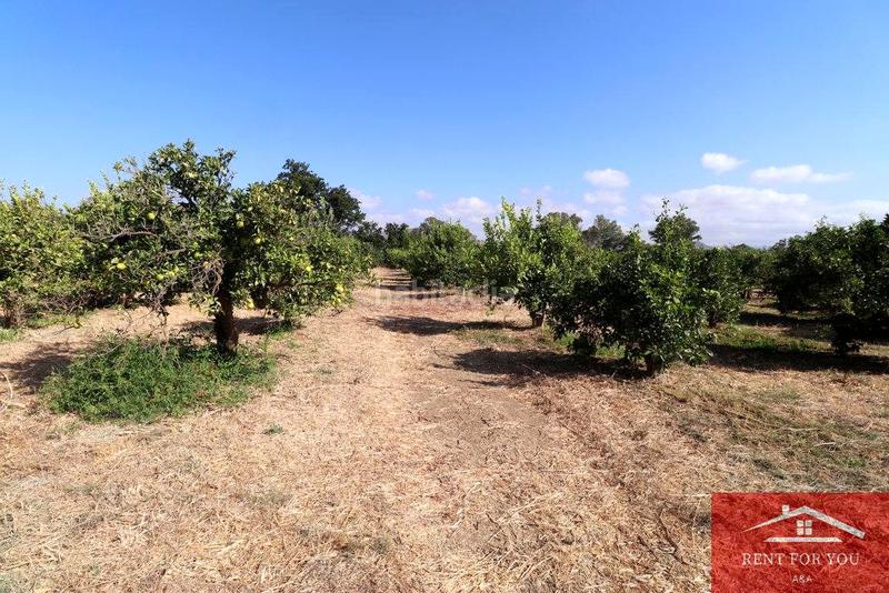 Foto 9d8dcba9-96b3-4e33-91f4-898cc1b42112. Finca rústica a Cártama