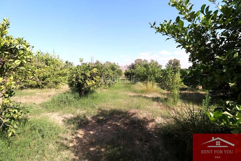 Foto a6eb940e-b6d8-4266-b472-2fda9e6e220e. Finca rústica a Cártama