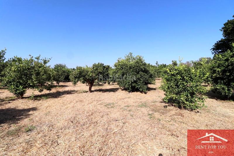 Foto a916ef8b-0d19-481c-a907-3e6d08300551. Finca rústica a Cártama