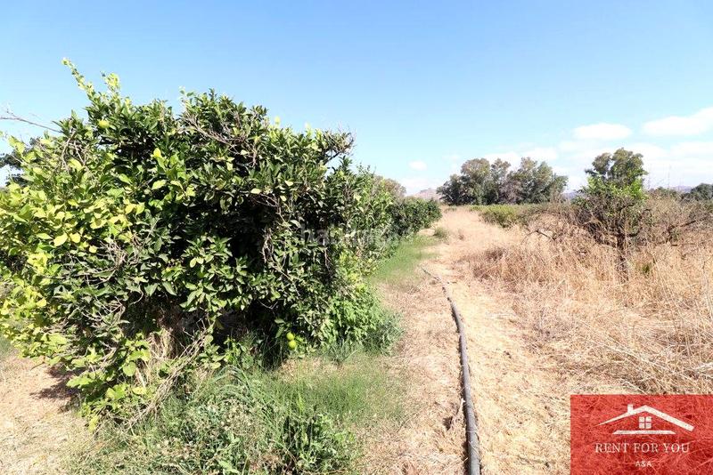 Foto c3c5162a-9803-4305-a110-2913b13cb769. Finca rústica a Cártama