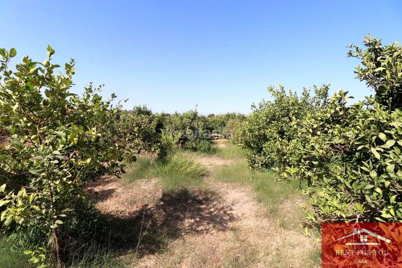 Foto e92fccfd-c0ad-4311-936d-3b1835febff5. Finca rústica a Cártama