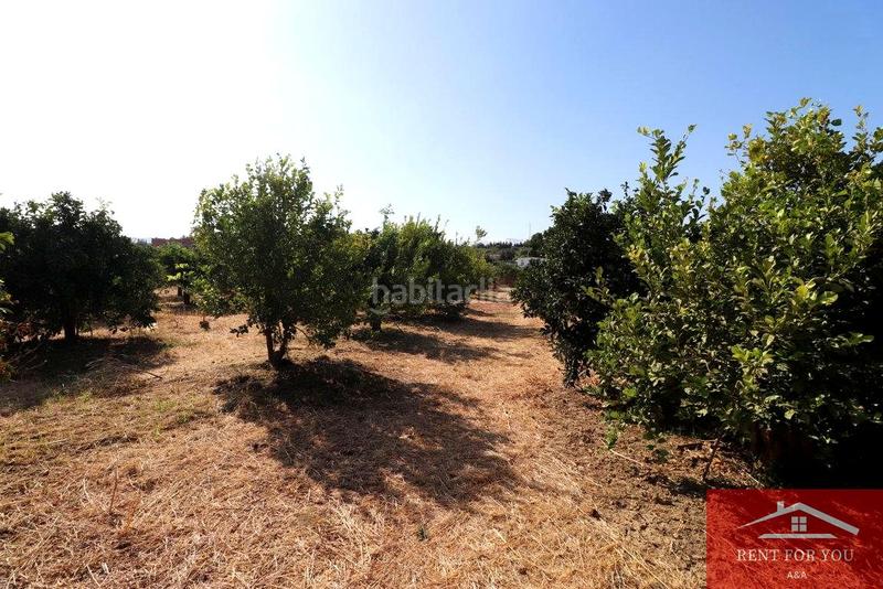 Foto ed02227f-c9a6-40de-bc66-5e0ec8ae46a4. Finca rústica a Cártama