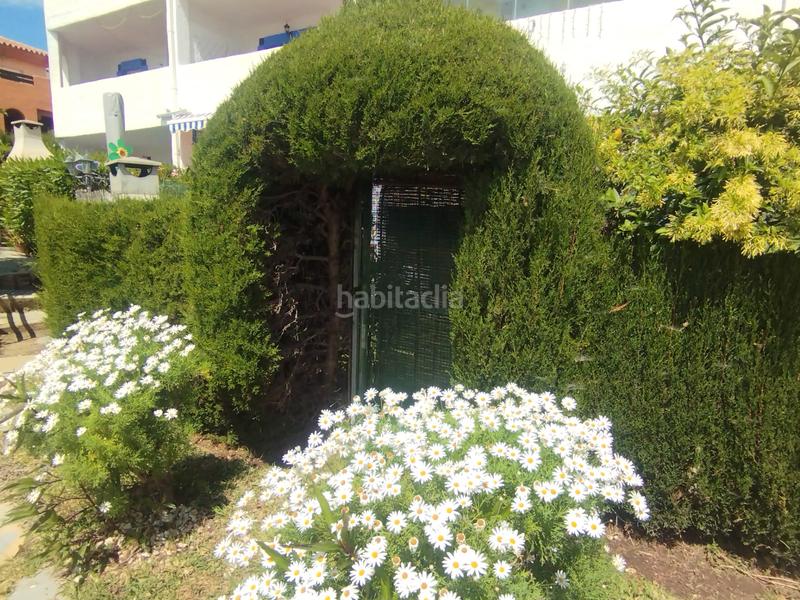 Foto 316a06e6-b9e1-4e60-81e4-305ae5389acb. Piso bonito bajo con jardin privado en calahonda en Mijas