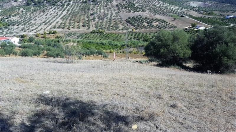 Foto 1acd73c8-2c10-4c2e-b141-f8b03483a960. Finca rústica buena finca rustica en Tolox