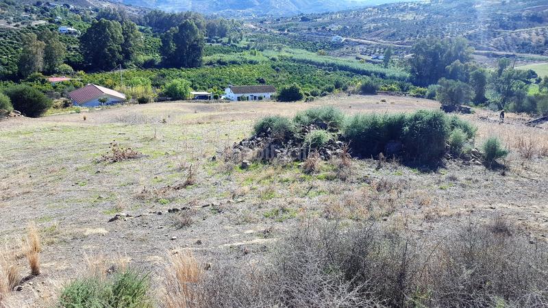 Foto 1d89b848-922b-4adf-af93-e4e2dc610f8a. Finca rústica buena finca rustica en Tolox