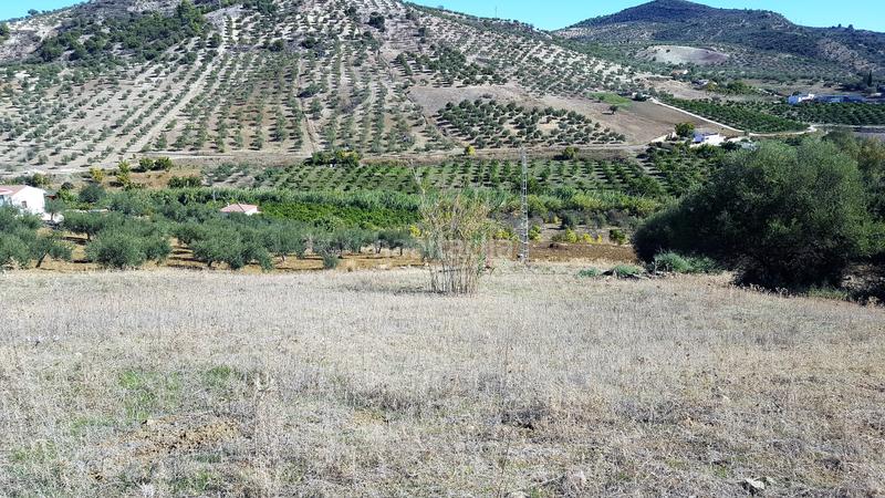 Foto 43fedec4-9c49-4a86-aeb2-fda4b8bd3784. Finca rústica buena finca rustica en Tolox
