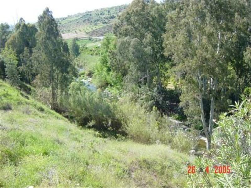 Foto 52952a18-f362-476a-9517-9a96aa3dc222. Finca rústica buena finca rustica en Tolox