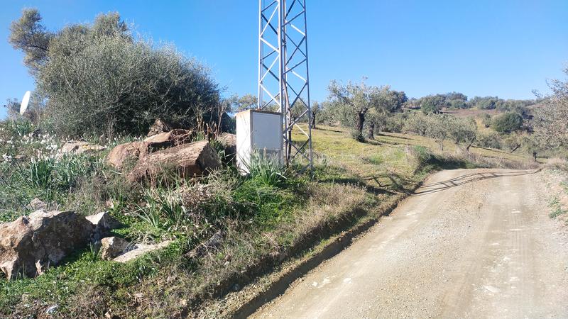 Foto 62594777-6814-4e7a-8606-6aa149e7818d. Finca rústica buena finca rustica en Tolox