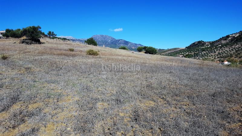 Foto 70e508e5-caff-45fb-b020-5848bd90cbdb. Finca rústica buena finca rustica en Tolox