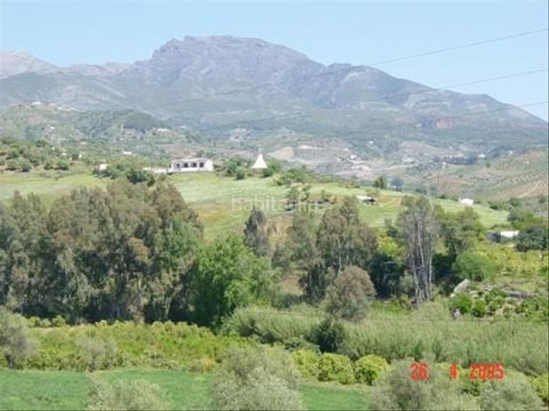 Foto 7448a169-84e0-44bf-ad45-84d08966d83b. Finca rústica buena finca rustica en Tolox
