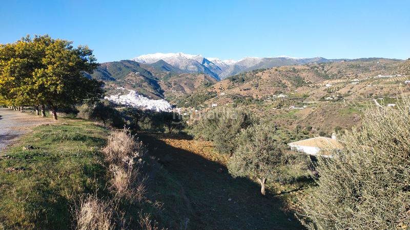 Foto 8220fa8c-667d-41c4-92c3-93c4eb381087. Finca rústica buena finca rustica en Tolox
