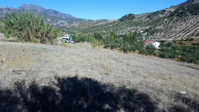 Foto 8ba2c013-8b6d-4df1-9243-5ef4435c4574. Finca rústica buena finca rustica en Tolox