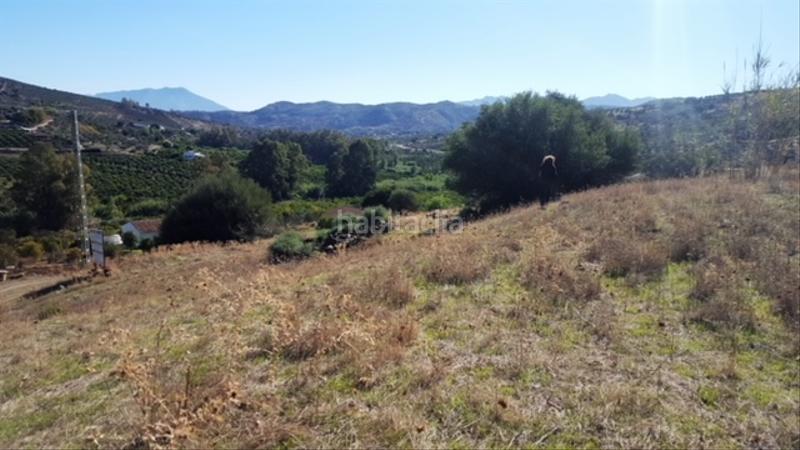 Foto 9d189564-26d1-4497-b7df-be79a5b5af80. Finca rústica buena finca rustica en Tolox