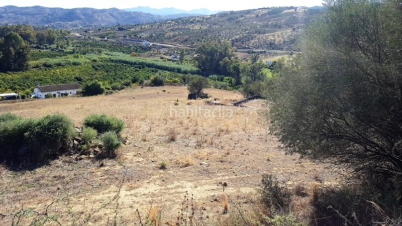 Foto bbc5c530-3a96-43e8-9a23-df82ac3f2a32. Finca rústica buena finca rustica en Tolox