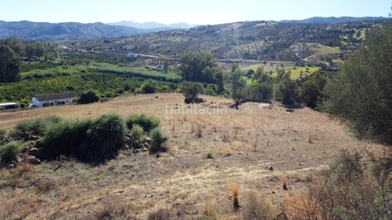 Foto cf83c3b4-3c4b-430a-b7d3-209016472044. Finca rústica buena finca rustica en Tolox