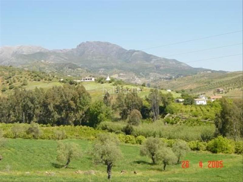 Foto d759e9e4-8084-4a51-ae15-1499bb369ff9. Finca rústica buena finca rustica en Tolox