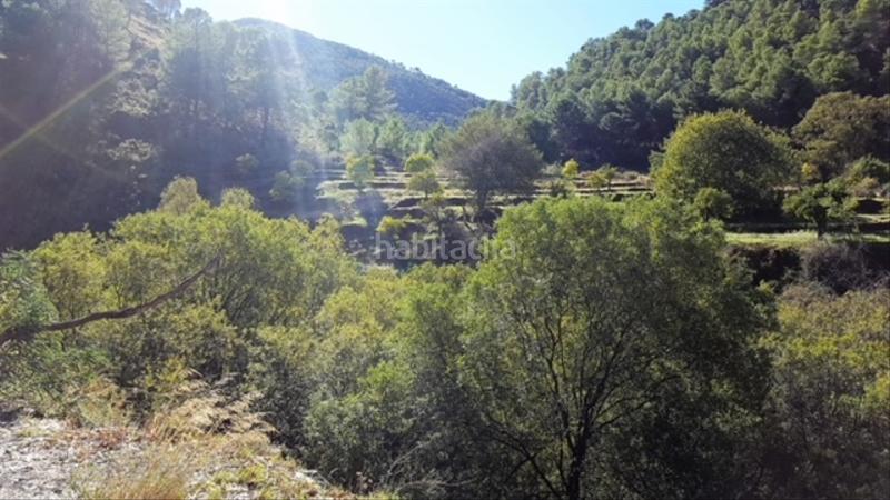 Foto df4c819f-39a6-4679-8415-02135a106d47. Finca rústica buena finca rustica en Tolox