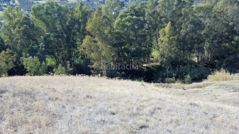 Foto ebb99370-8c0b-4dae-8253-67f6e236c421. Finca rústica buena finca rustica en Tolox