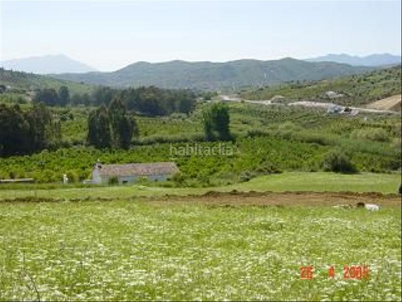 Foto f169bf85-9be4-46ef-8c17-4d39494c70aa. Finca rústica buena finca rustica en Tolox