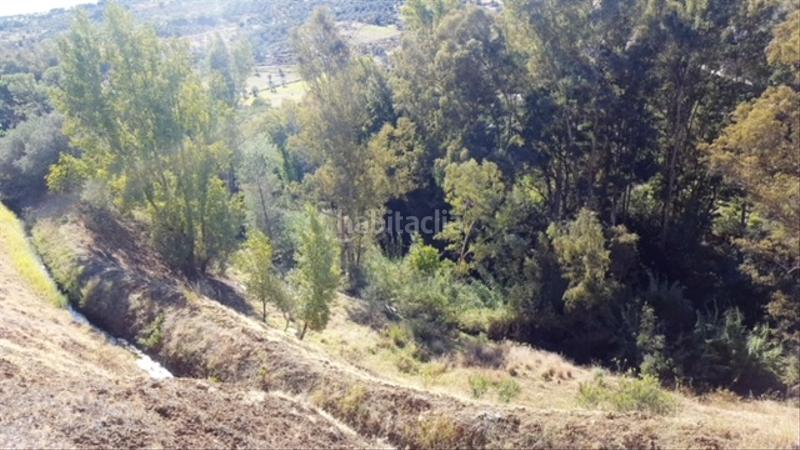 Foto fb71e56d-03f4-432a-9785-88f006807c6d. Finca rústica buena finca rustica en Tolox
