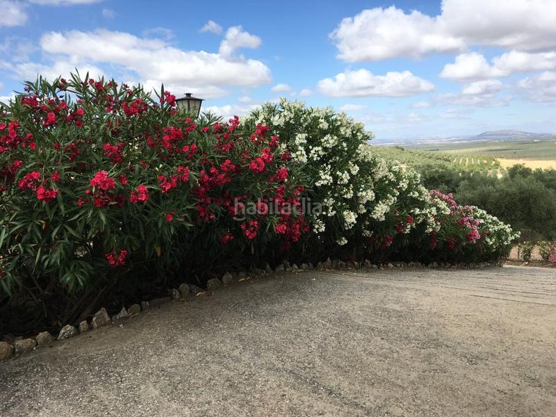 Foto 3aa1e760-8ece-4532-b02a-071b2b80a671. Casale in calle nueva 1 in Archidona