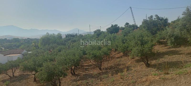 Foto 87854ba0-d8a6-4a5f-b4d1-42235a17ac73. Terreno residencial preciosa parcela rural dos casas, olivar y gran potencial en Coín