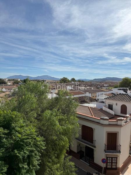 Foto b192c1d5-e7a6-45b3-b7d0-a31a157800b3. Piso oportunidad en venta en el corazón ! en Campillos