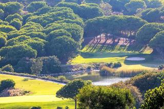 Xalet a Sotogrande Alto. Villa en venta en sotogrande - alto, 5 dormitorios.