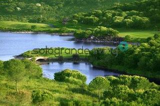 Terreny residencial a Sotogrande Alto. Parcela en venta en sotogrande alto.