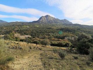 Masia a Gaucín. Finca en venta en gaucin.