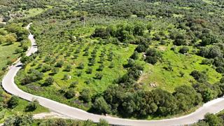 Terreny residencial a Gaucín. Finca rúst. en venta en gaucin.