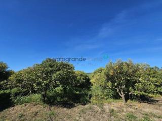 Masia a Casares pueblo. Finca en venta en san martín del tesorillo.