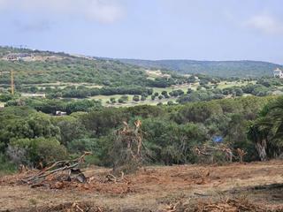 Terreny residencial a Sotogrande Alto. Parcela en venta en sotogrande alto.