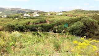 Terrain résidentiel à Sotogrande Alto. Parcela en venta en sotogrande.