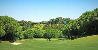 Terreny residencial a Sotogrande Alto. Parcela en venta en sotogrande alto.
