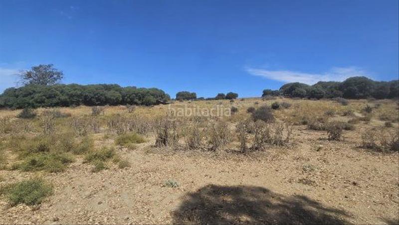 Foto 73c1236e-2bc0-45b4-a149-116a1193bfc2. Masia a San Enrique-Guadiaro-Pueblo Nuevo Sotogrande