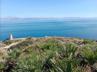 Bauernhof in El Cuartón - El Bujeo. Finca rúst. en venta en tarifa.