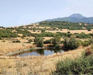 Masia a Gaucín. Finca rúst. en venta en gaucin.