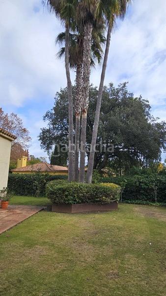 Foto 80f8449c-d4eb-4b00-99dd-3b829883167e. Xalet amb calefacció aparcament piscina a Sotogrande alto Sotogrande